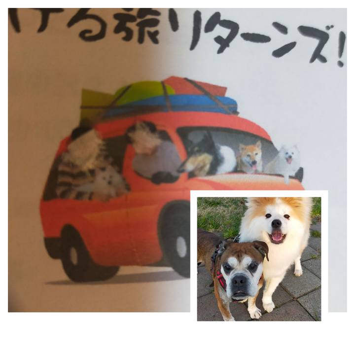 3a71ae92 8566 4ed8 8a94 24392466a723 1653059287059