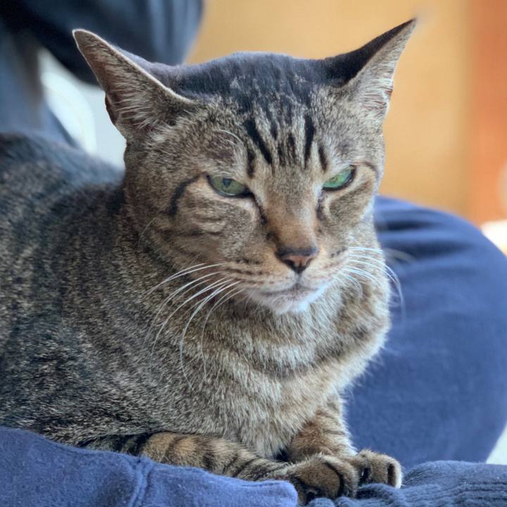 3a71b0f2 f53b 422b a703 1658b068552d 1587778013056