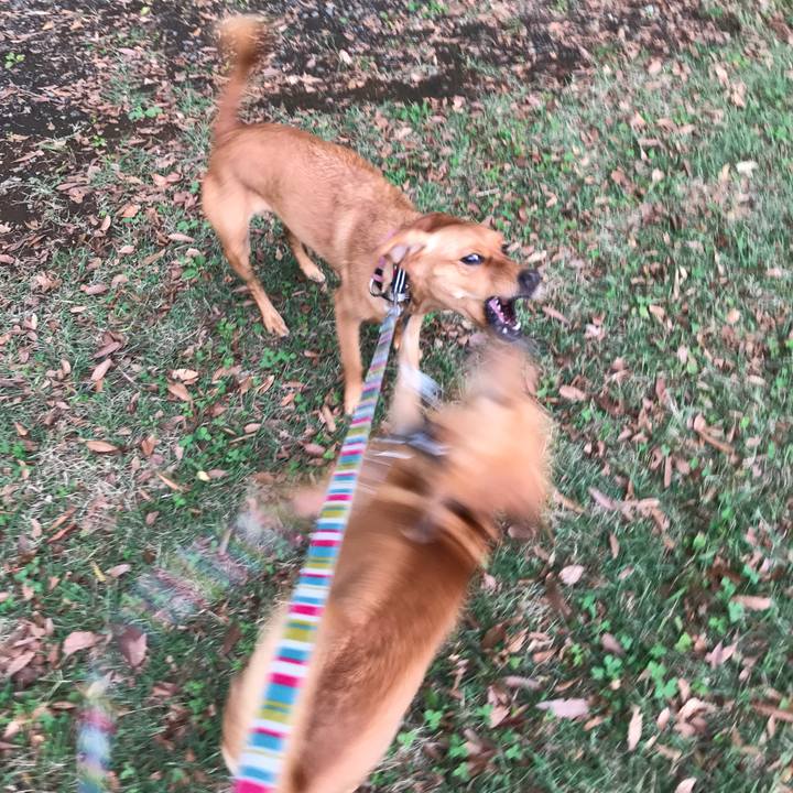 3a71e503 ba7c 492d b273 88e74fee278b 1539781200071