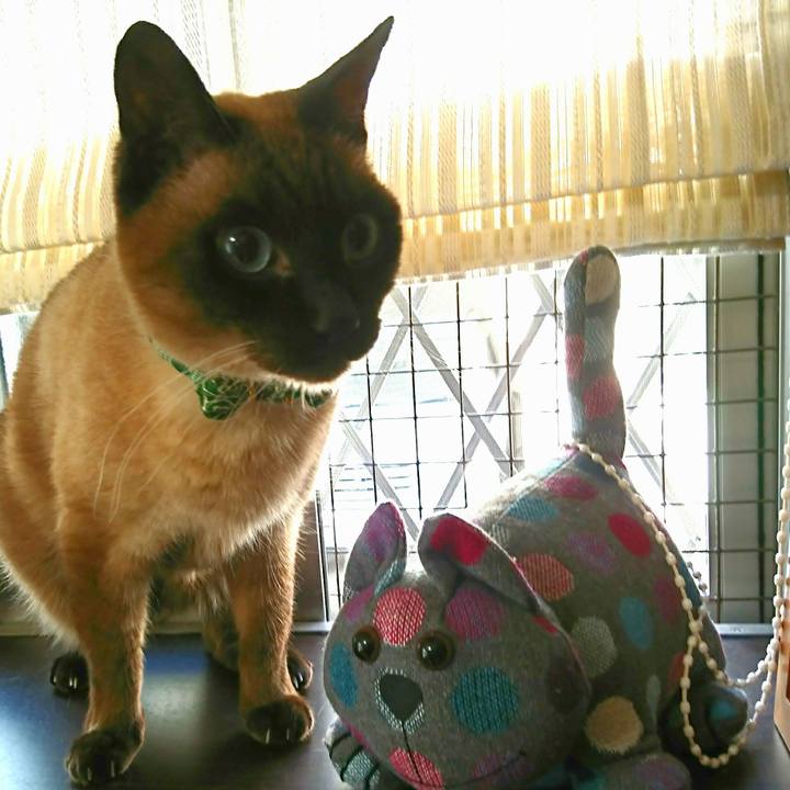 3a71f8b4 fa76 434c 9c4c 4734a87e344c 1515290906938