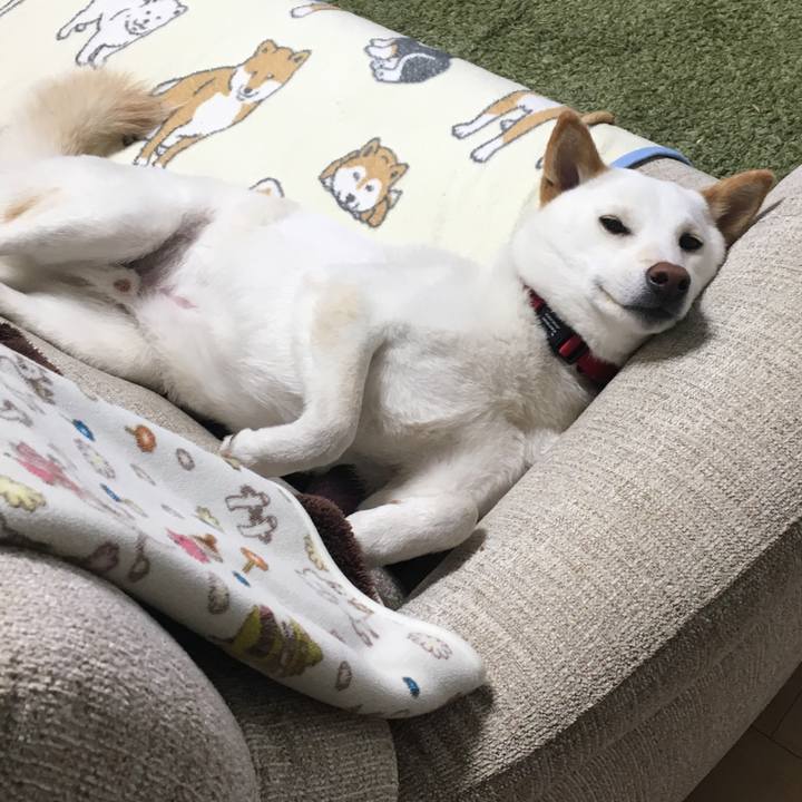 3a72457e 2ab7 4fd3 bf6c 32827f8acae7 1517826882196