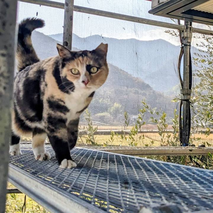 3a7263b0 eb29 4434 a201 d53c06573bbf 1771045234927