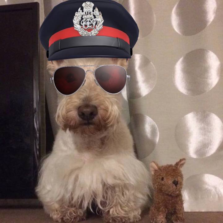 3a729323 d772 4276 918a 86fcf753547e 1566652630773