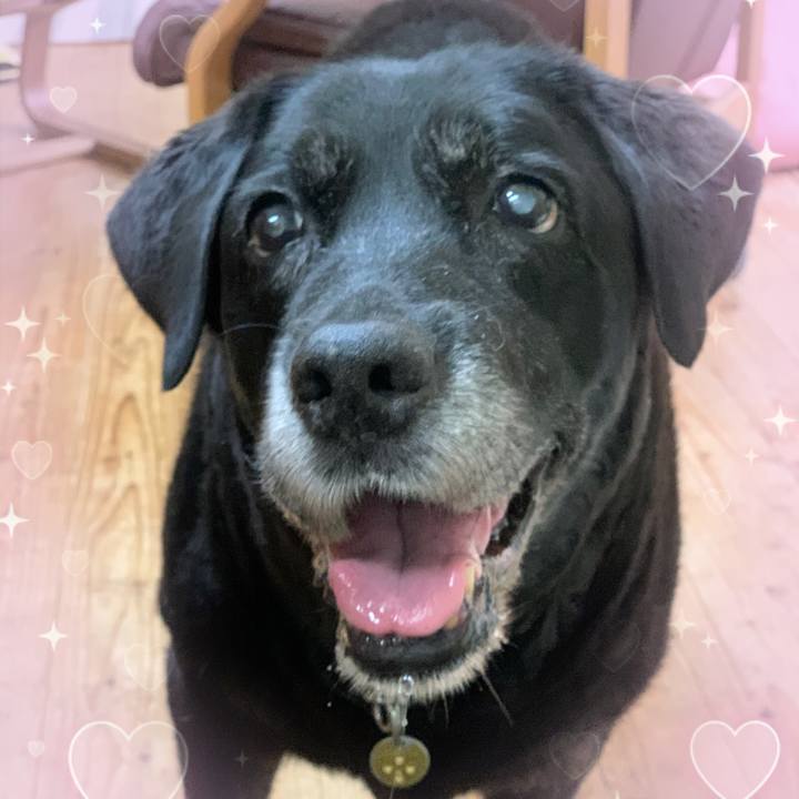 3a72982c 4ddc 417f aa4a df271648bed8 1686342348541