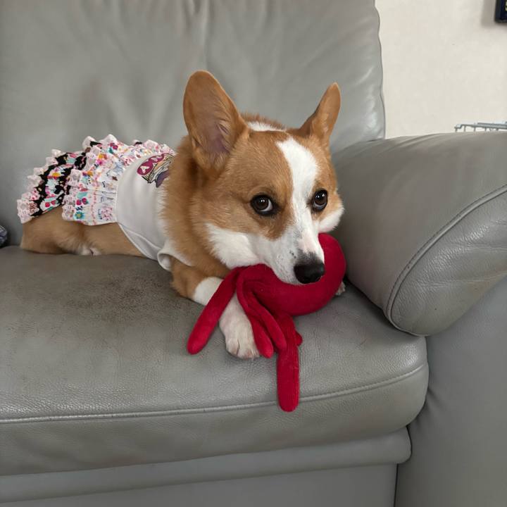 3a72a2a8 1eba 4543 ad5a 031a4dfa7158 1760049425560