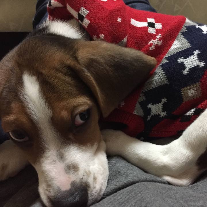 3a72cffe 30b3 4e8f 8588 6c91c7f14a00 1515064012712