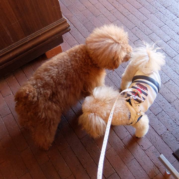 3a72dd51 3df1 4c04 831a c903c66cad8d 1541221057389