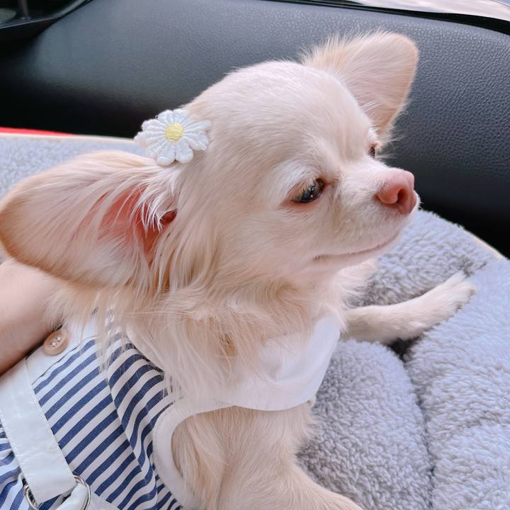 3a72ebc3 c48b 4bc2 b402 5e9fad16c8d7 1651570421265