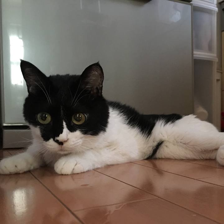 3a73720e 9282 4651 960c 3c2374110e91 1533085714877