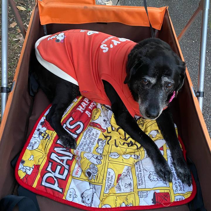 3a73ad5b dd4a 46e4 b69b 5a2228b223da 1698655054331