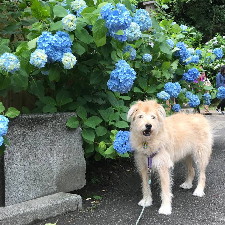 3a73fc12 eae5 4450 90da 0093af155c63 1560050364116