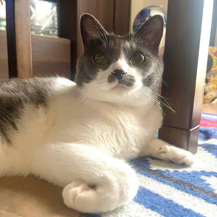 3a740783 c9f9 43df a172 a6106534e9fe 1686444528109