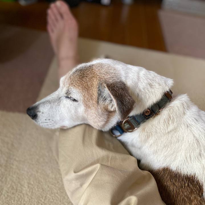 3a741de5 5ef5 4960 8646 0645cd99937c 1656050092495