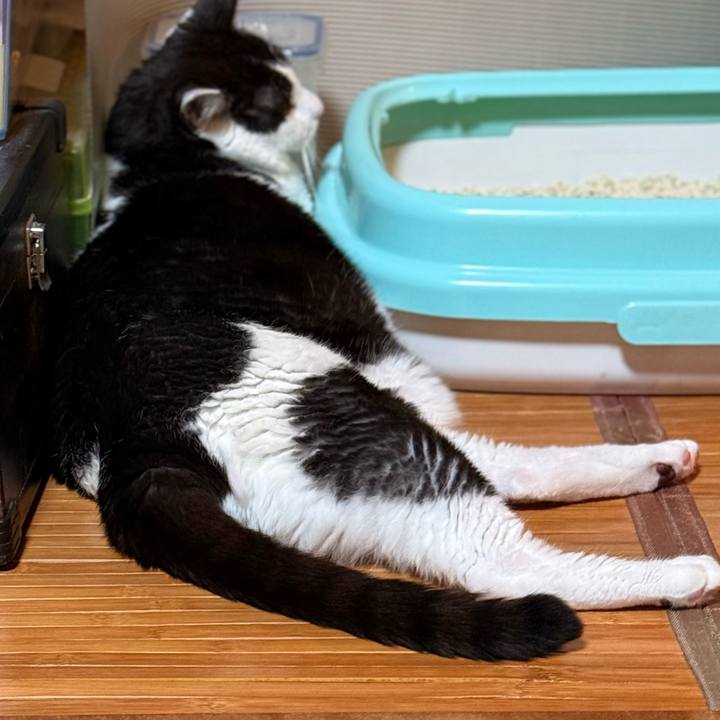 3a74630b 2ae8 4f50 93db 99d4995668e0 1759108924363