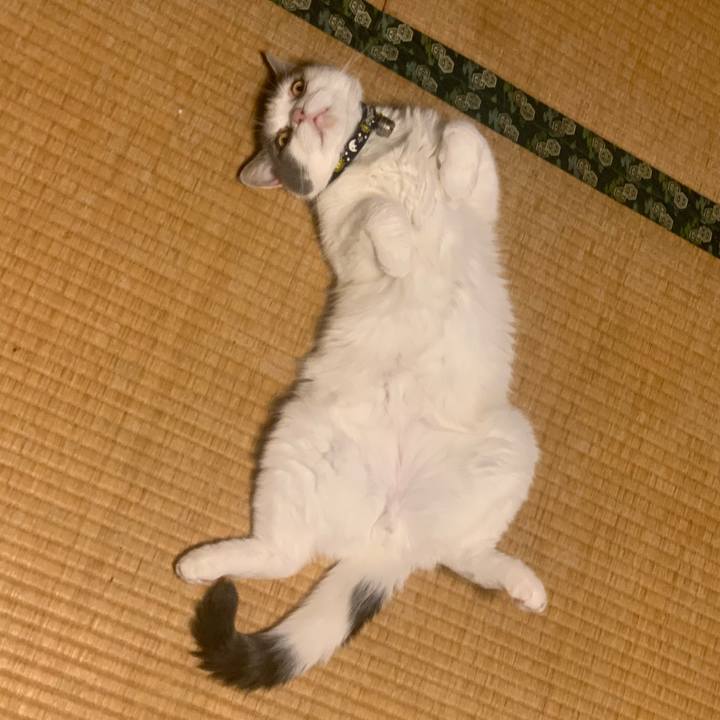 3a746969 502d 44aa 9eab de7241e7dc01 1726224713365