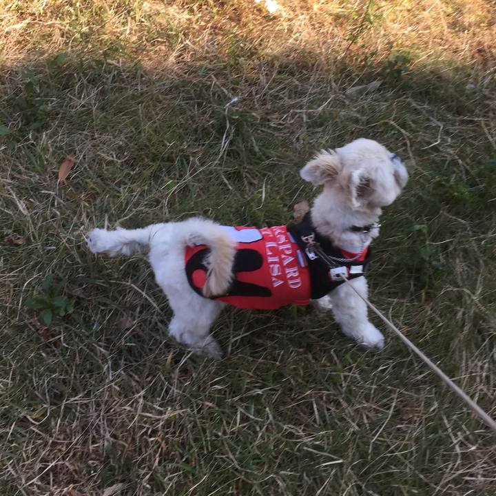 3a749900 440b 4011 9b1d c084ac2a9962 1509862478591