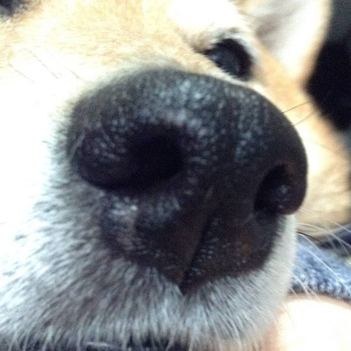 3a74a8eb f119 4a45 8b9d dd999db1996e 1523617472488