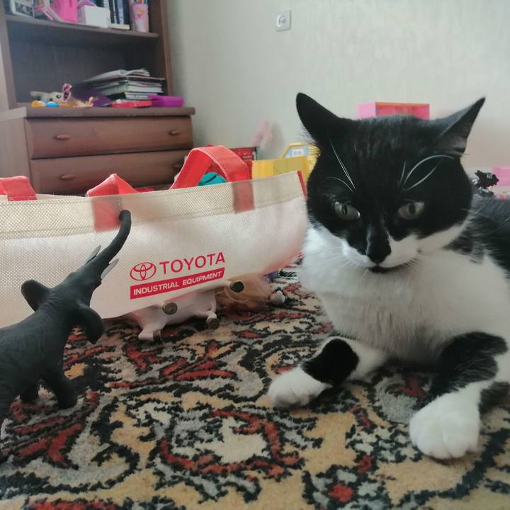 3a74b2a2 e9c4 487a b5d3 513a1830273f 1592120479456