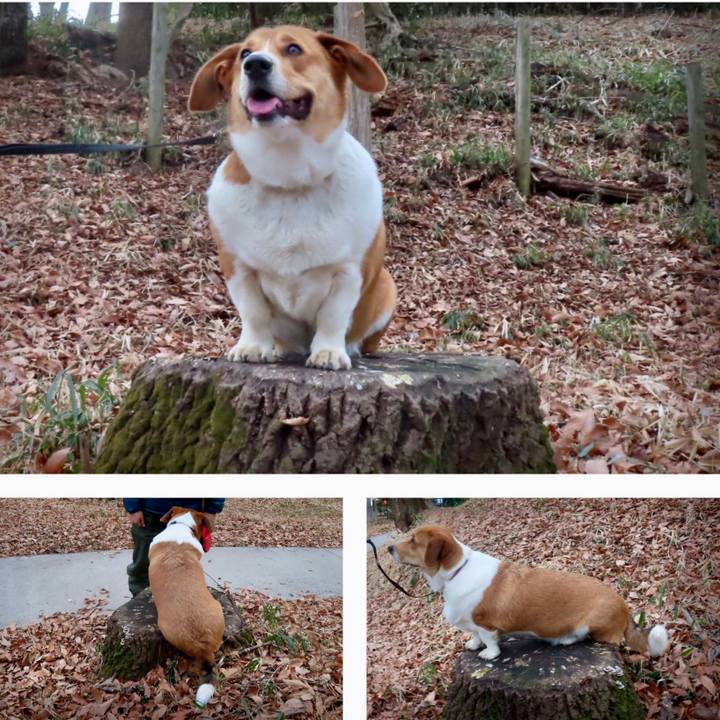 3a75081a 9c50 479e b574 7f829b71350e 1642327182453