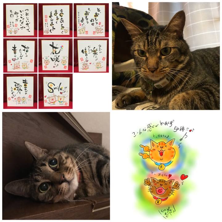 3a751b13 894b 49d9 9e87 4284fab7408d 1606338067242