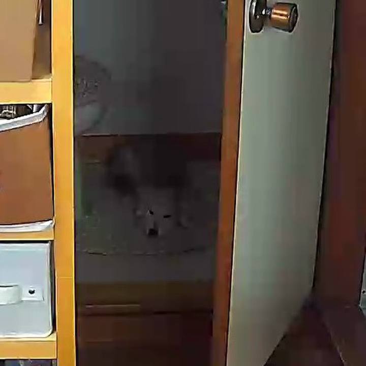 3a7546ab 31db 4bfc b579 f2bcb41bf7dd 1635306035653