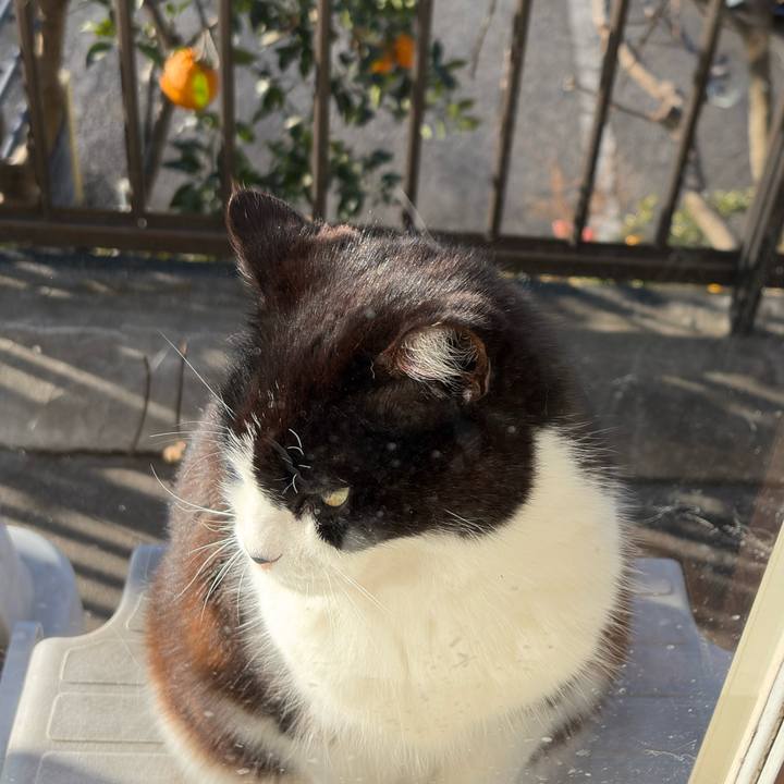 3a755bf3 3035 44a1 a5a2 195528abffb9 1769299791245