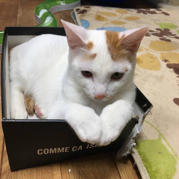 3a755fa7 acd6 4814 b06c 8c55796381ca 1512472954714