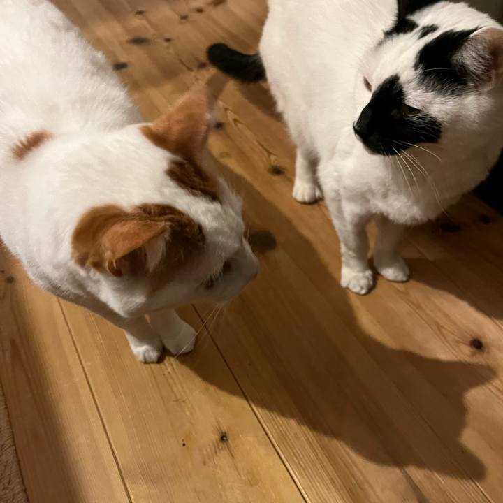 3a756155 44bb 4d47 b69c 7d79f3a5bead 1767304655134