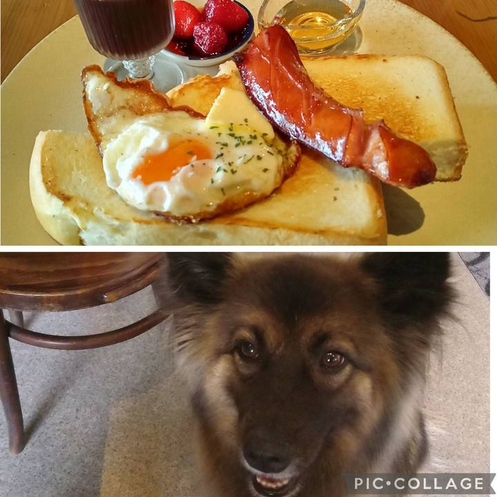 3a7581f2 3591 4cad 8535 095f00d004fc 1760155271605