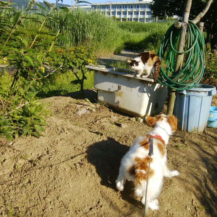 3a761534 1e52 4d6b ad36 5ebae2d5750d 1529151259338