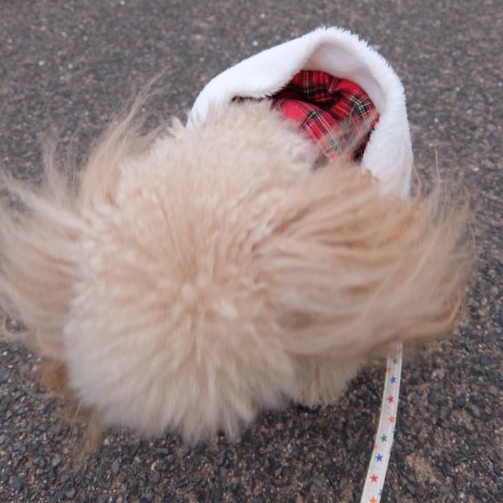 3a765b1a e239 4943 b189 3a83536872d1 1512302236449