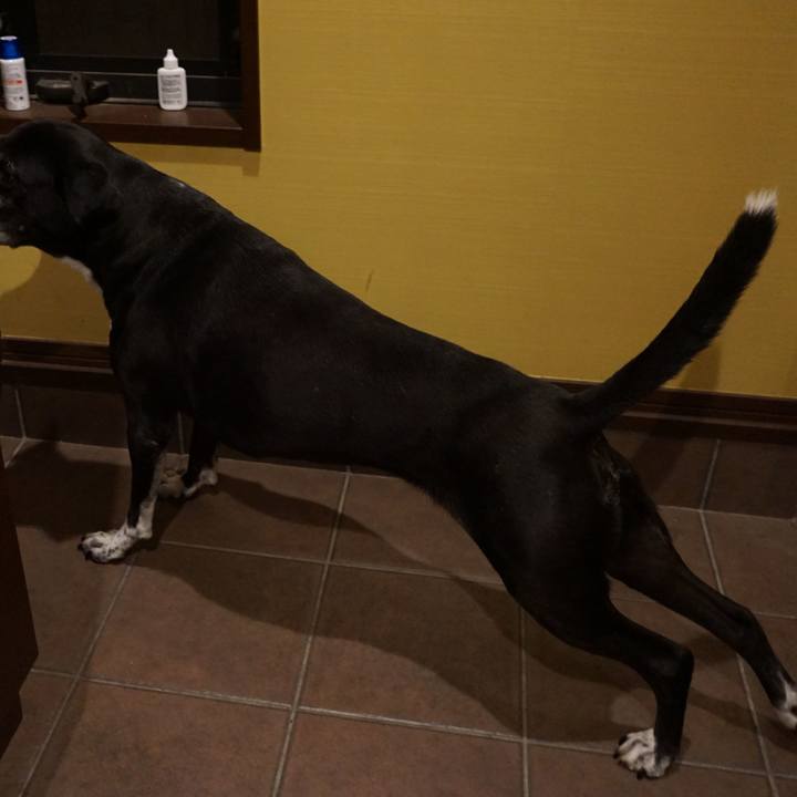 3a76969b eea9 4279 bab7 949c54e7d2e4 1758194141186