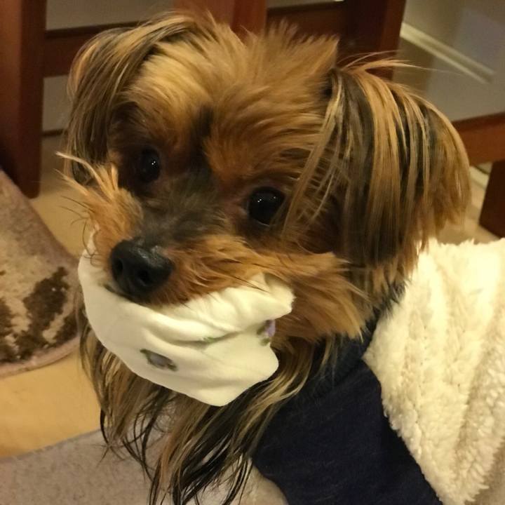 3a76ddb6 eb4d 4c6c b148 e14410d1ba41 1509011679879