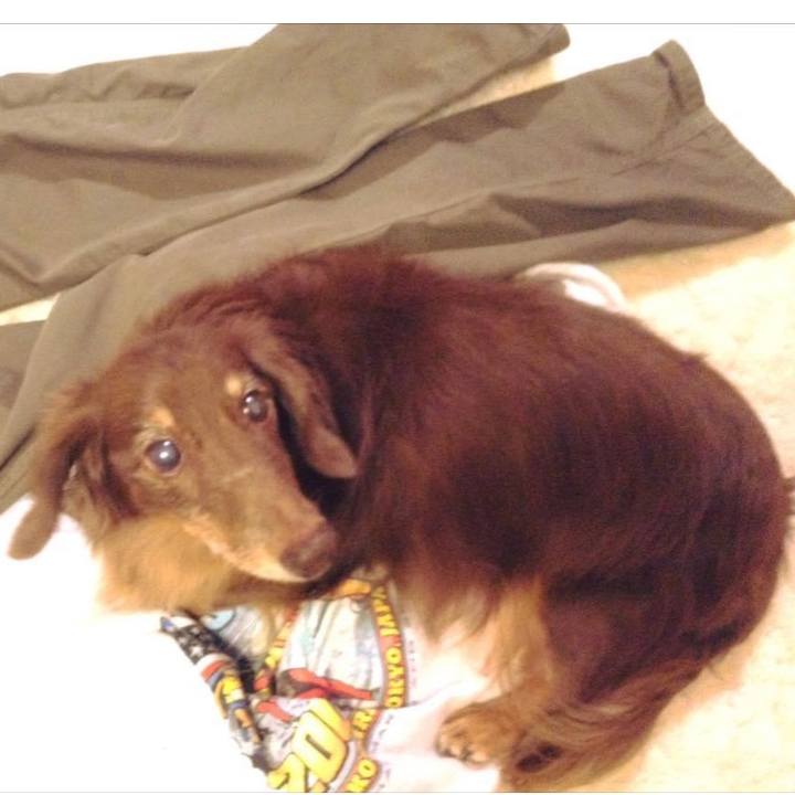 3a76ec1a 7e53 4138 8806 edb165916f5e 1634872745952