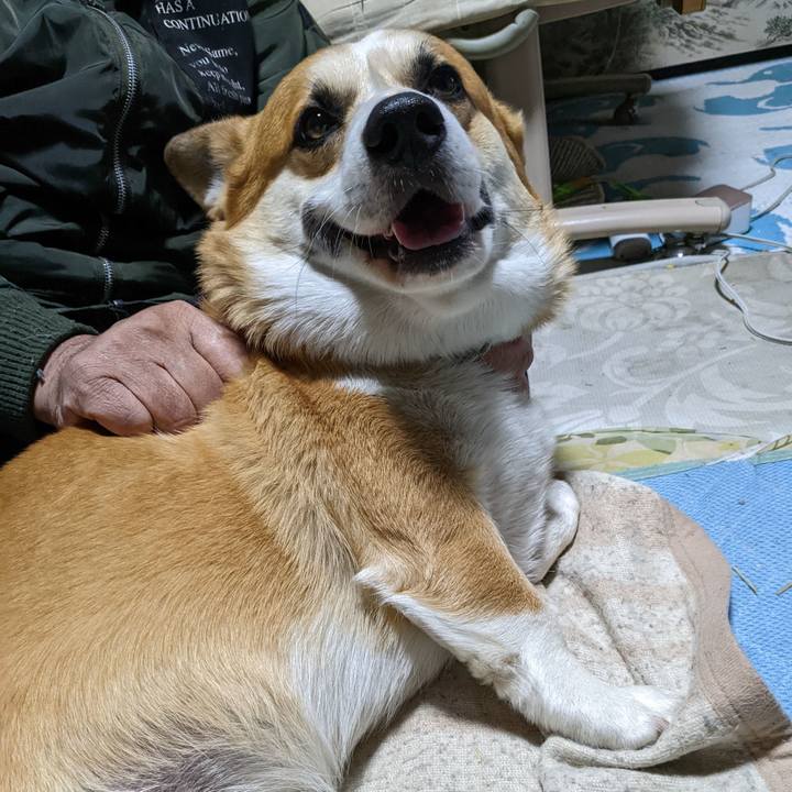 3a76f9db 7d00 49cb 81db 2414951fabea 1683771156066