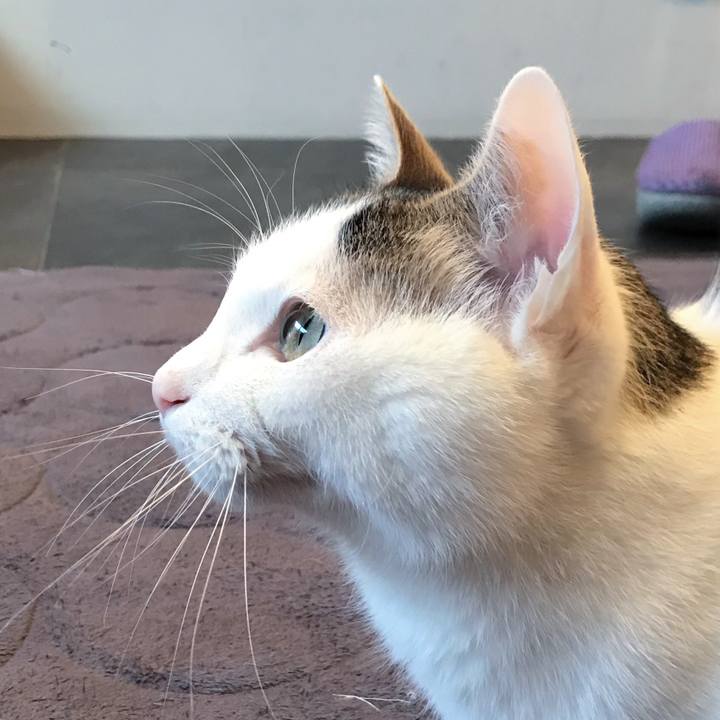 3a771b95 bfbe 46f5 a1a7 edc86a9d92f3 1548249328558