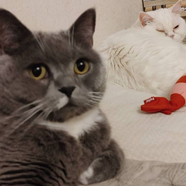 3a7749bb 7a79 48ac 8f71 4b45e171e9e7 1615376720371