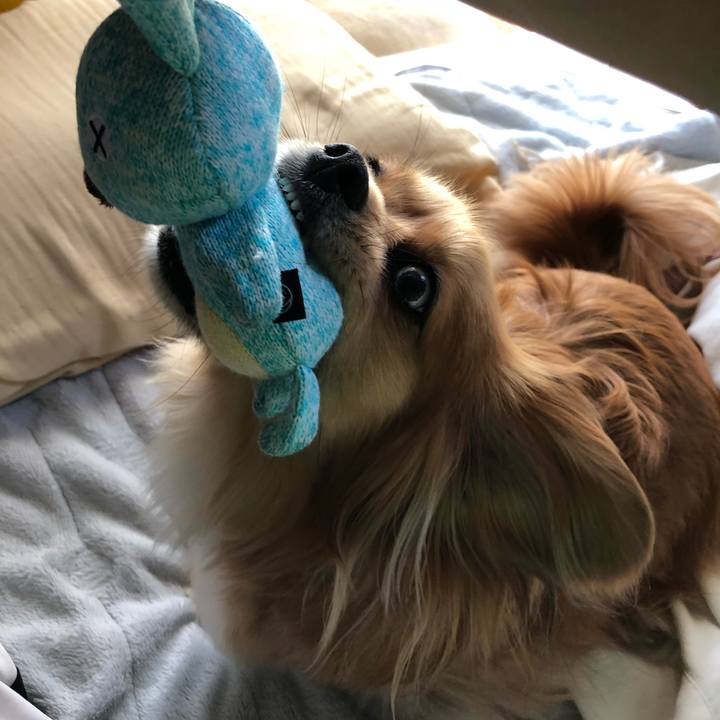 3a775dc9 7610 4ea2 b4e0 80d30fe0e99c 1556409573568