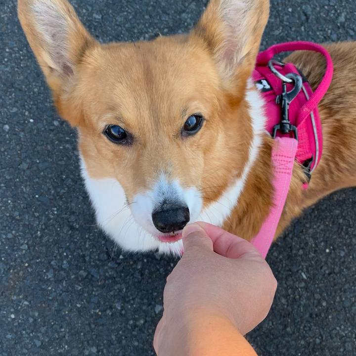 3a776174 5131 46f2 97f9 bfd535a6b7b3 1700788511380