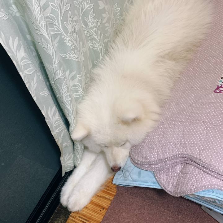 3a777685 249e 4abd b550 fc56dc0150fa 1593646108569