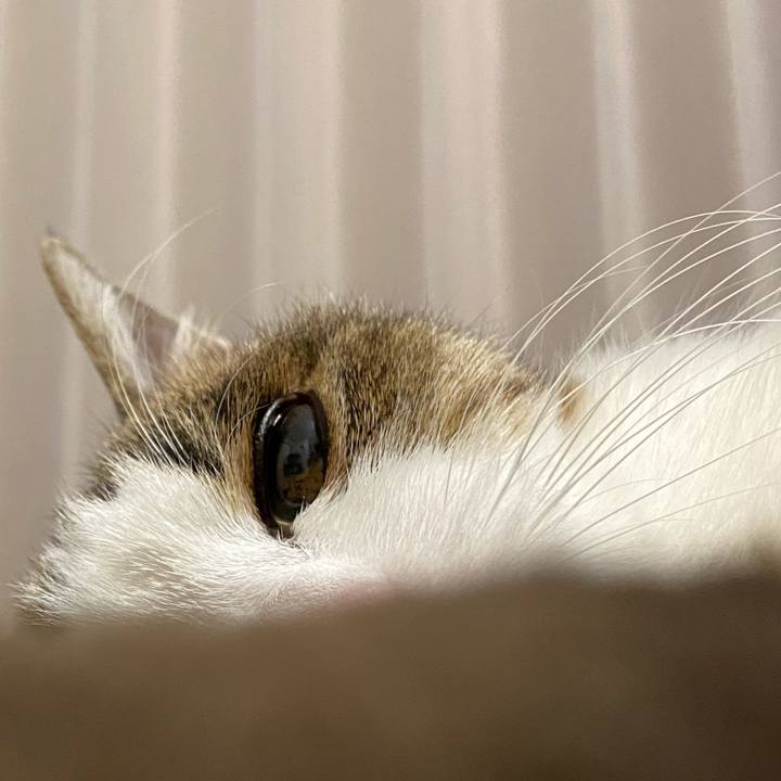 3a77b0f7 a386 4767 a1d2 fcd0cd7449e0 1582021069734