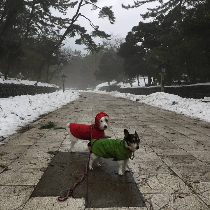 3a77da35 00dd 49d3 b42f 4932aeb86c55 1516164670263