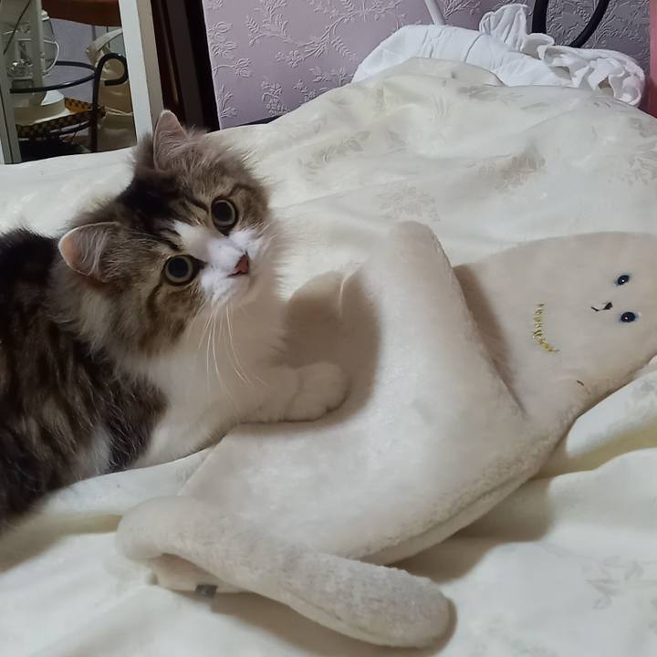 3a77ecf6 f3c9 4fe4 9003 d2ce362935c8 1676493022793