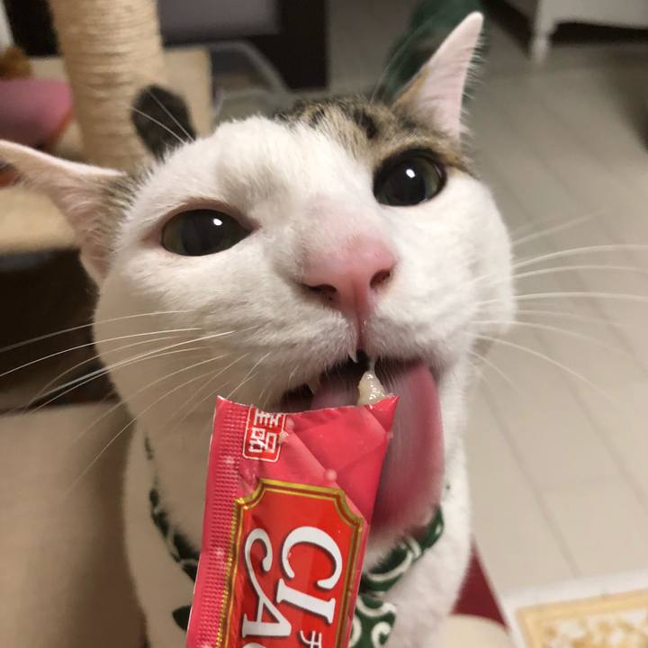 3a7801f8 c69d 4f07 83a4 868606e8c079 1530260521104