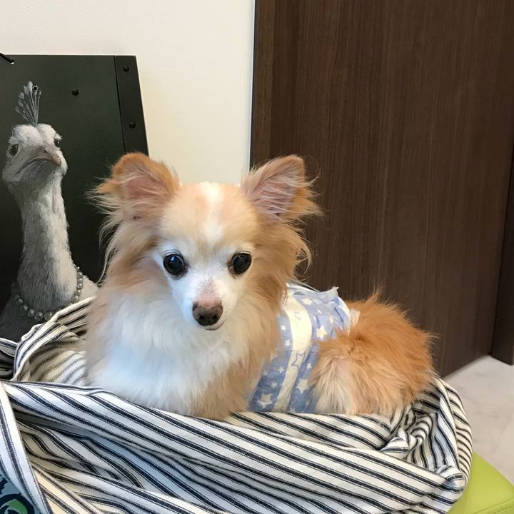 3a783018 8cb7 4d65 afb6 a025393d550a 1535473857671