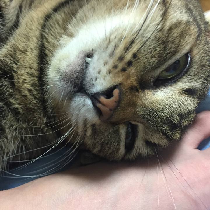 3a78488d fbd0 47bf 9e09 b88ab5a0ce51 1509976502913