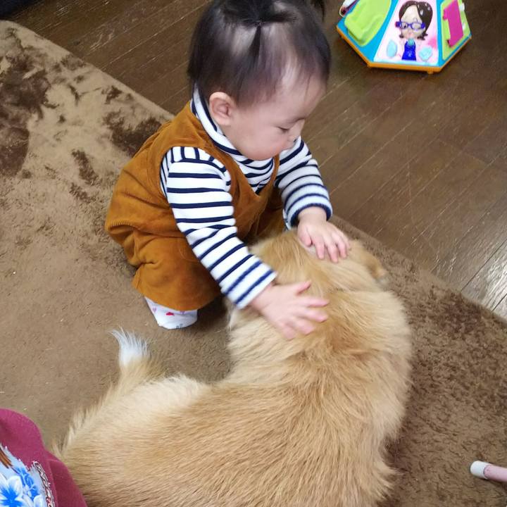 3a785f77 22a3 4b4a a86d e50c17fe275d 1518838253382