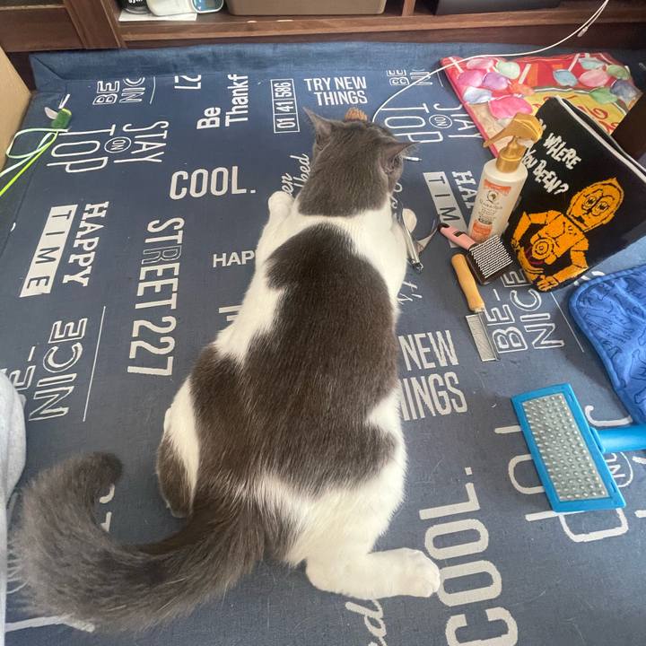 3a789b24 3548 47b3 8705 2ffc107c9df1 1698542824509