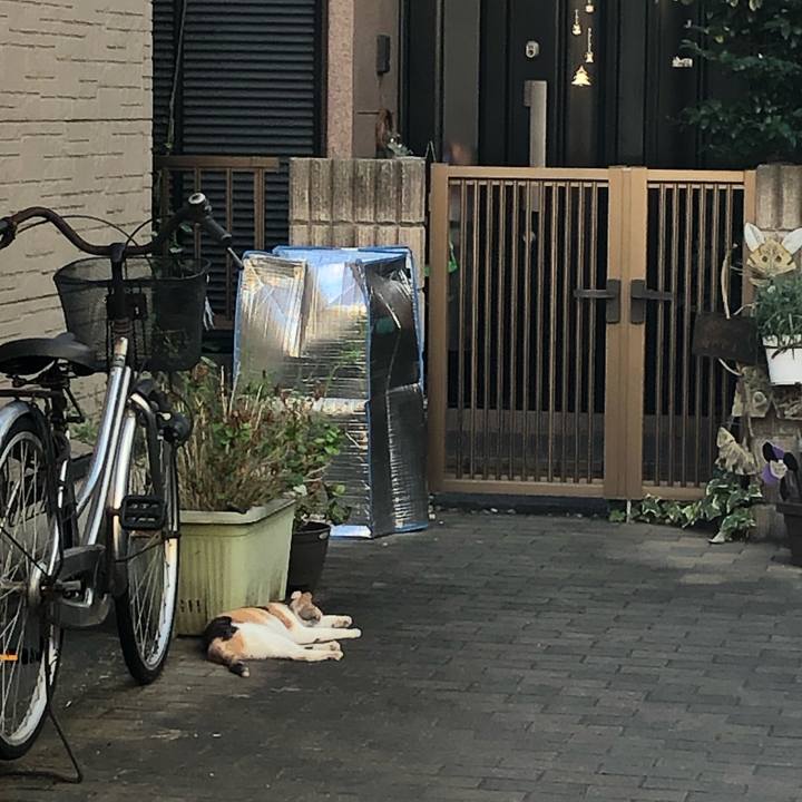 3a78ca9c 5407 4e71 a89a 2569f47e28f1 1568317522827