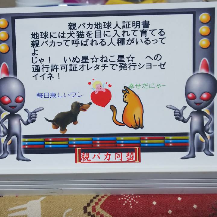 3a78d39e 62fb 41f6 96a5 f4915c5256e7 1572952330841